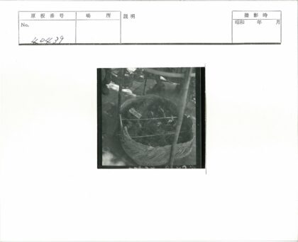 编织篮装小动物铁丝网覆盖.jpg