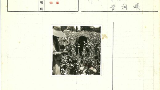罂粟田间劳作宽边帽人.jpg