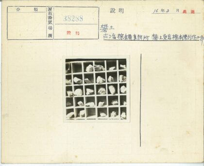 网格隔间岩石标本展示.jpg