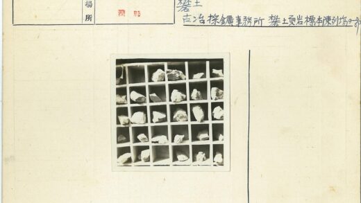 网格隔间岩石标本展示.jpg