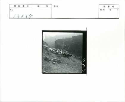 羊群行走瀑布岩石山坡.jpg