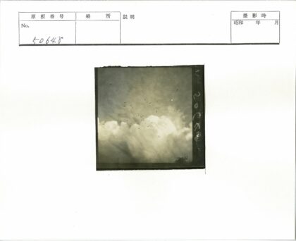 群鸟翱翔云间树梢景.jpg