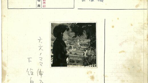 羽冠俯瞰白佛塔古镇.jpg