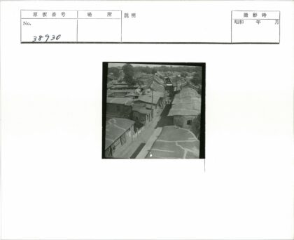 老城窄街瓦屋绿树景.jpg