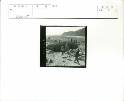 考古队挖掘现场工作照.jpg