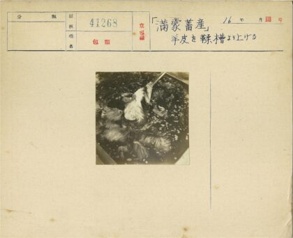 肥皂水浸泡羽毛特写.jpg