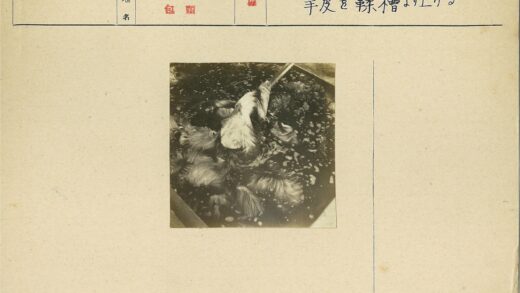 肥皂水浸泡羽毛特写.jpg