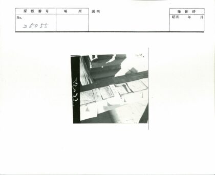自然光下谷物样品阴影展示.jpg
