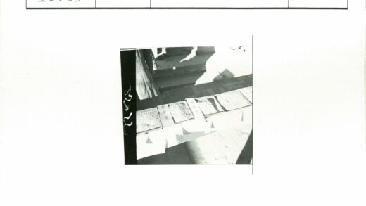 自然光下谷物样品阴影展示.jpg
