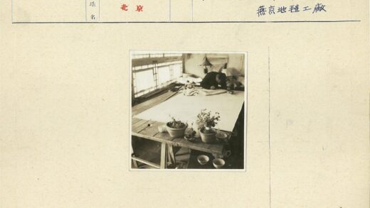 自然光木桌办公盆栽景.jpg
