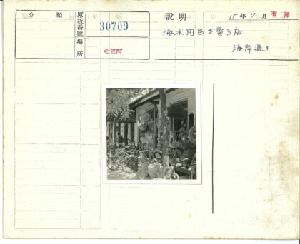 自行车与商店旁的树荫生活.jpg