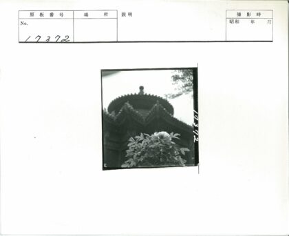 花丛与传统建筑黑白照.jpg