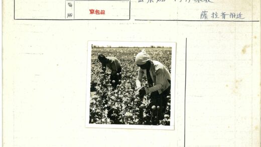 花丛中劳作的农民.jpg