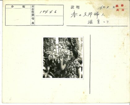 花园中抚叶的女人.jpg