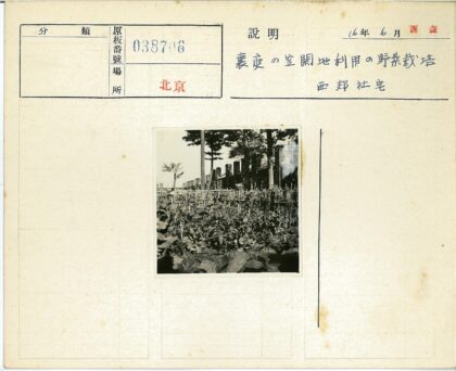 花园木栅栏与砖墙风景.jpg