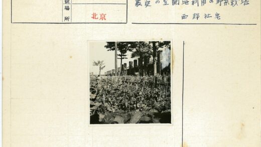 花园木栅栏与砖墙风景.jpg