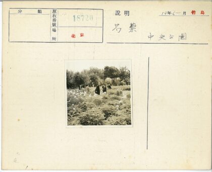 花园植物盛开美景.jpg