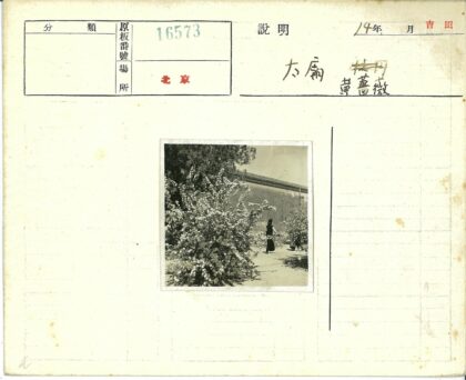 花园漫步花丛墙树背景.jpg