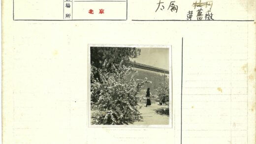 花园漫步花丛墙树背景.jpg