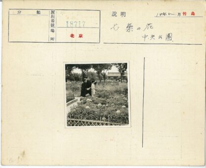 花园聚会与自然景色.jpg