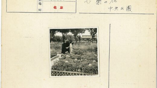 花园聚会与自然景色.jpg