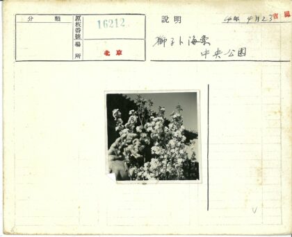 花朵掩映的瓦顶建筑石雕.jpg