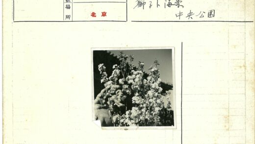 花朵掩映的瓦顶建筑石雕.jpg