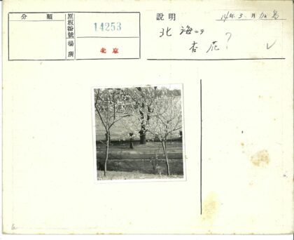 花林小径俯瞰水域.jpg