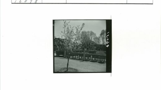 花树前篮栅与远山行人景.jpg