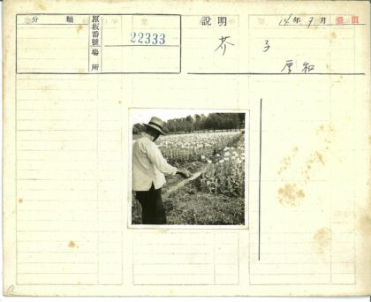 花田中劳作的帽衫农人.jpg