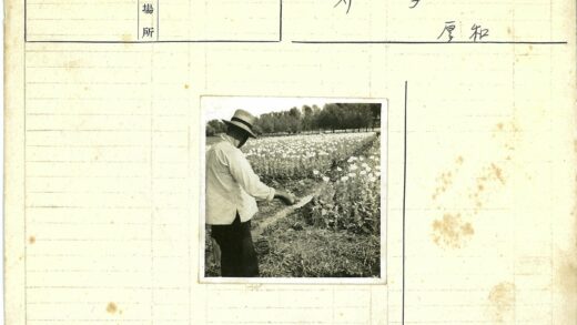 花田中劳作的帽衫农人.jpg