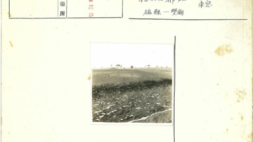 苍茫天空下的稀疏植被与远树.jpg