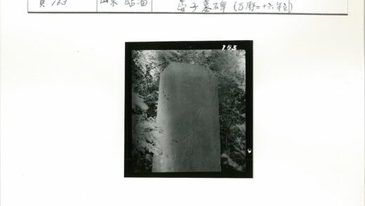 茂密树叶中的直立石板.jpg