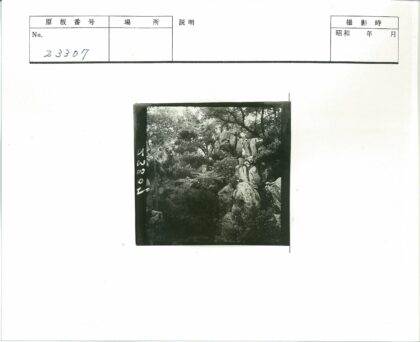 茂密植被与巨石自然景观.jpg