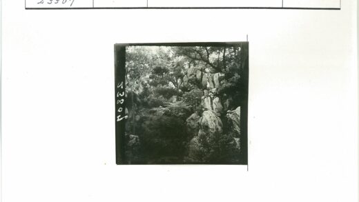 茂密植被与巨石自然景观.jpg