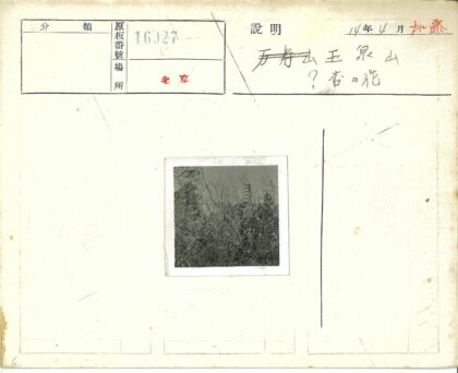 茂密植被中的高大建筑.jpg