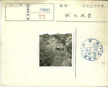 茅草屋绿林环绕鸟瞰图.jpg