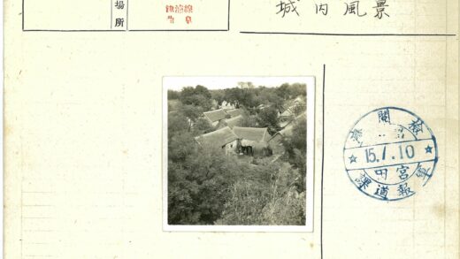 茅草屋绿林环绕鸟瞰图.jpg