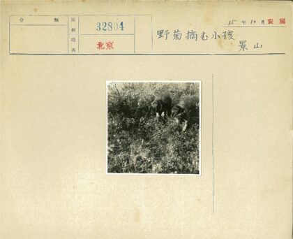 草丛中的两个孩子.jpg