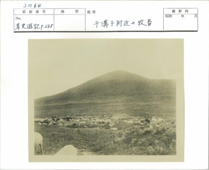 草原动物群与小山背景.jpg