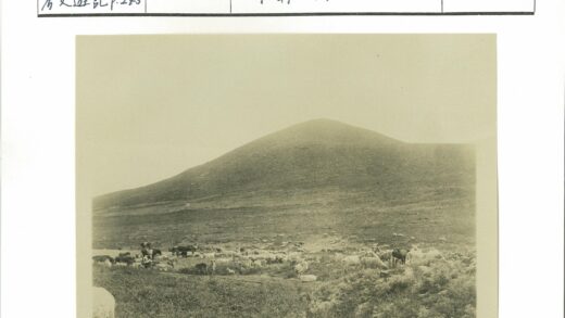 草原动物群与小山背景.jpg