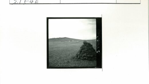 草原山丘与远楼风景.jpg