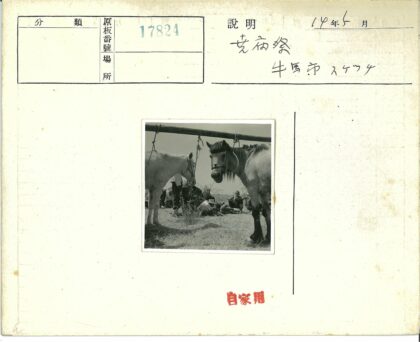 草原拴马晴空野餐.jpg