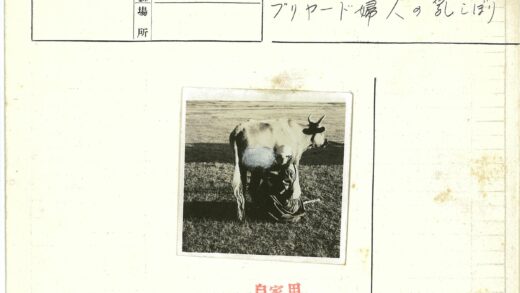 草原挤牛奶生活场景.jpg
