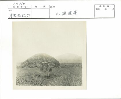 草原水牛石雕与山丘风光.jpg