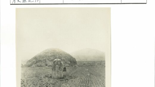 草原水牛石雕与山丘风光.jpg