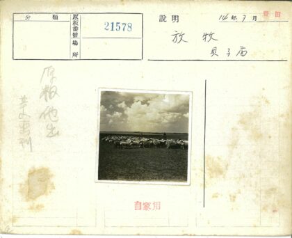 草原牧羊人与羊群.jpg