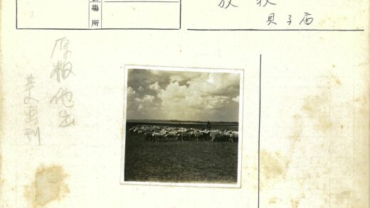 草原牧羊人与羊群.jpg