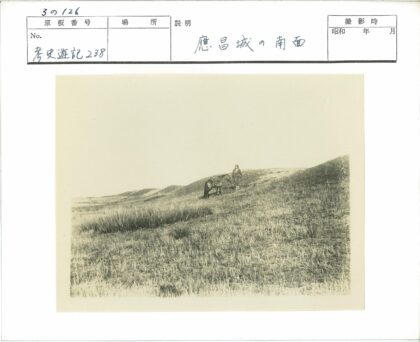 草原牧马与山丘风光.jpg