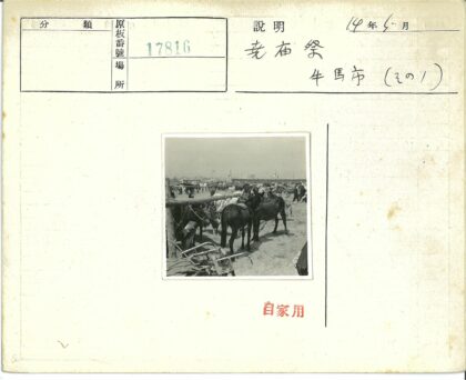 草原牧马与旗帜风景.jpg